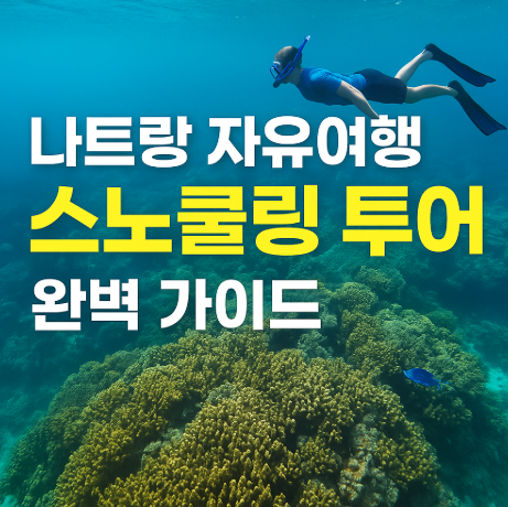 나트랑 스노쿨링 투어 가이드