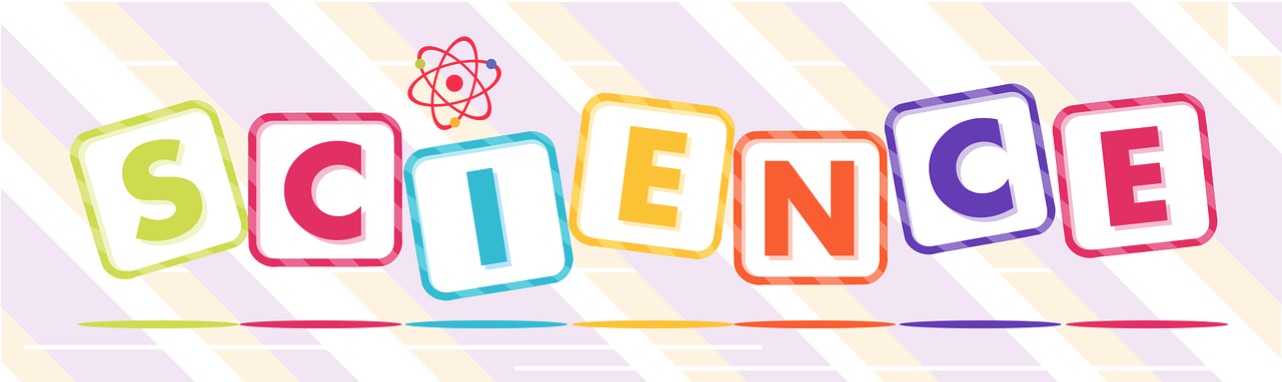 사회 과학 공부법 관련 사진