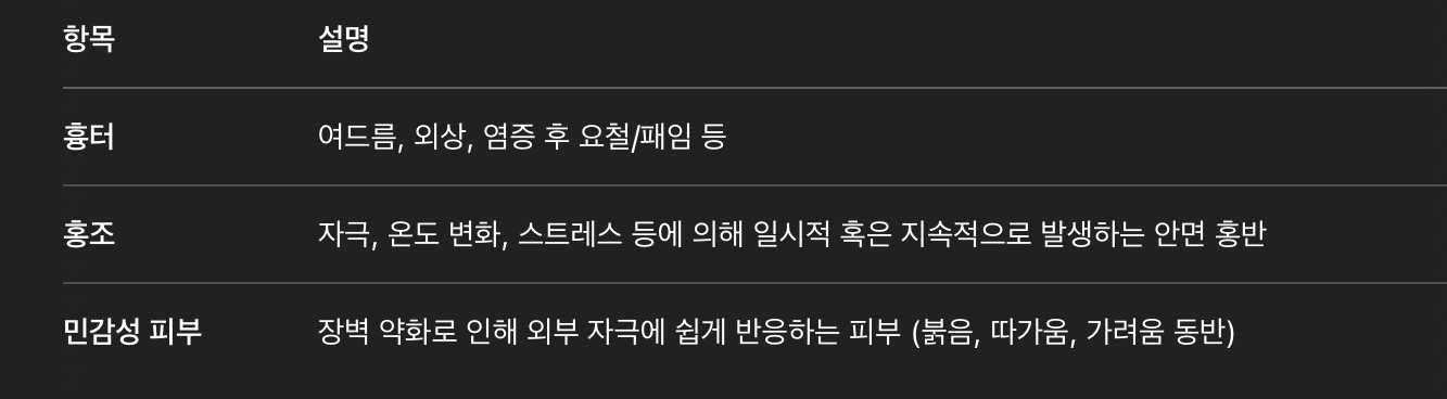 피부 상태별 기본 설명