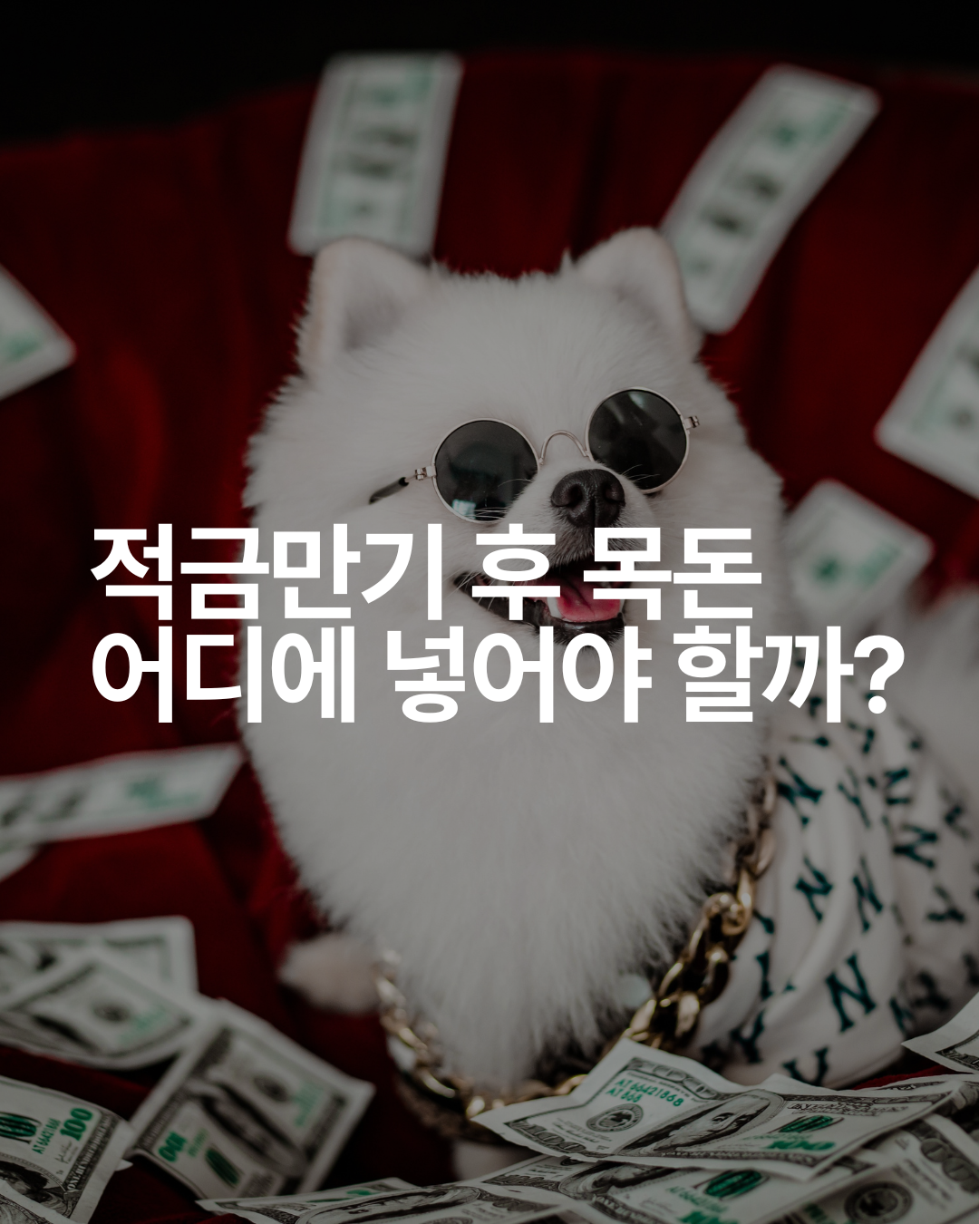 적금 만기 후 목돈, 어디에 넣어야 할까? (예금자보호 기준 포함)