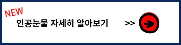 오큐시스점안액 인공눈물