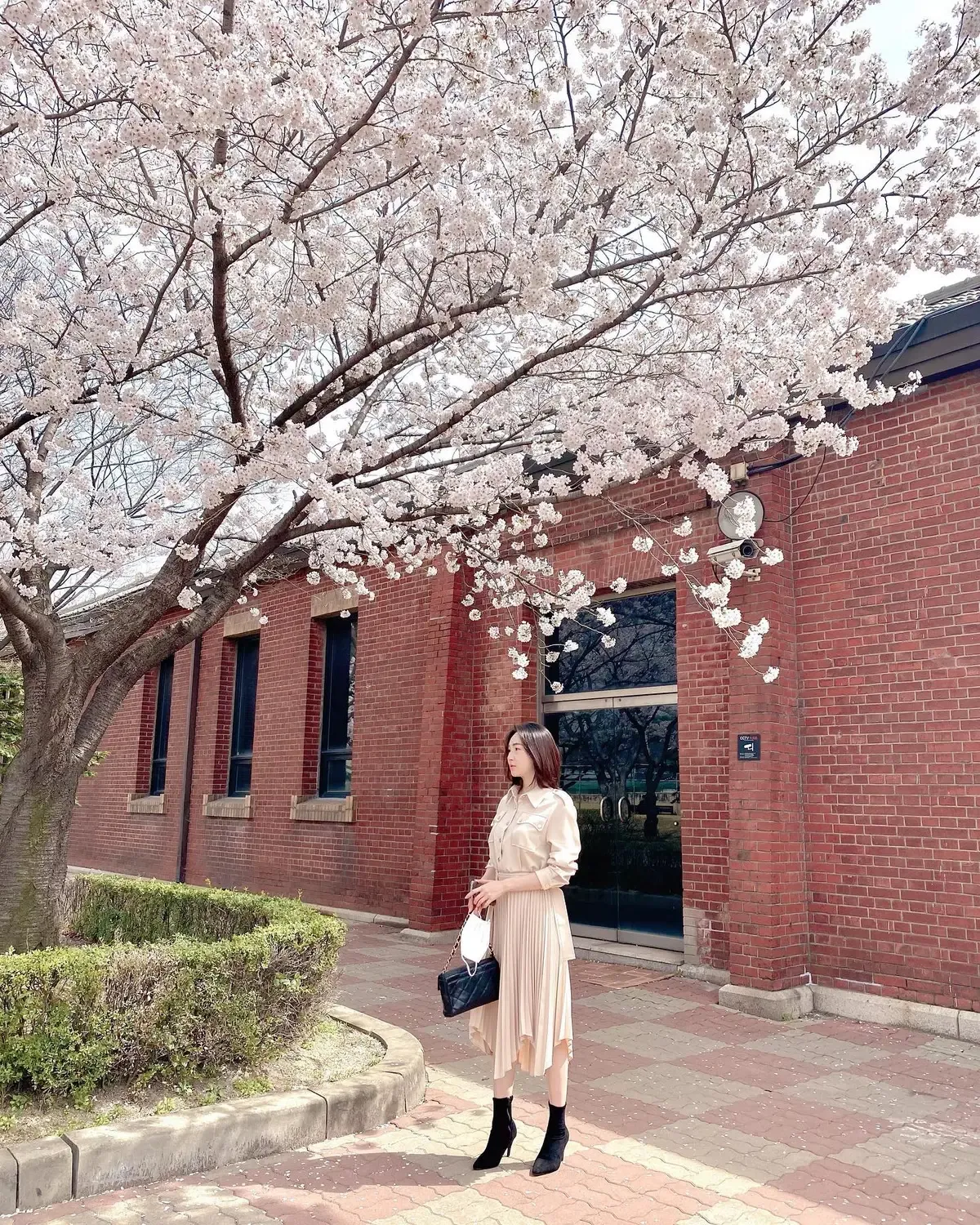 서울 벚꽃 명소 추천 베스트10_6