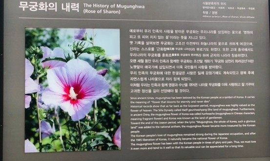 무궁화 내력