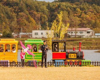 양양 송이 연어축제_5