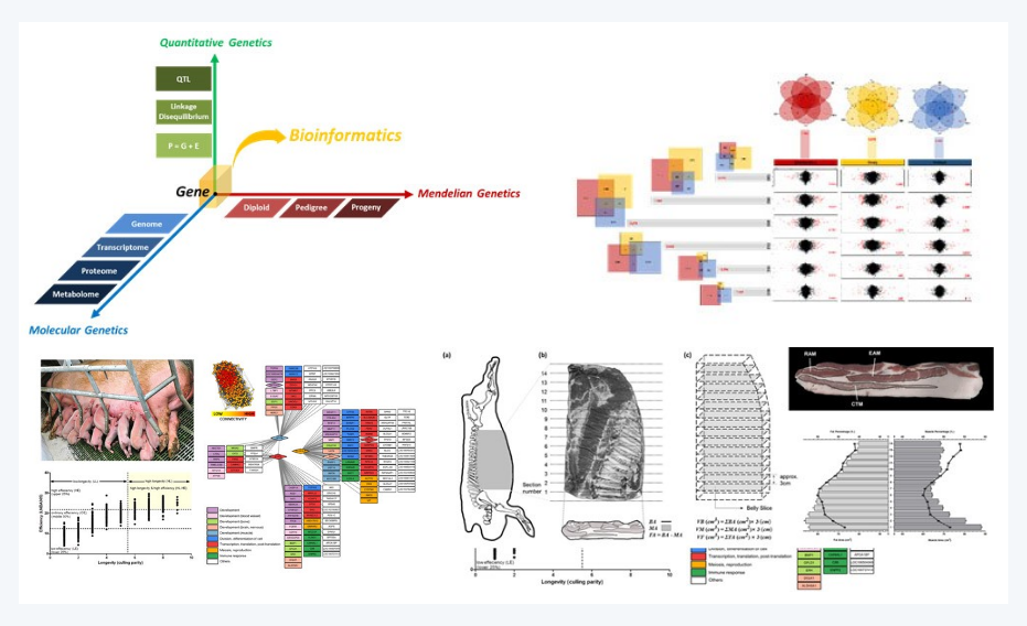 BIGKIM LAB, 기능유전체 연구실