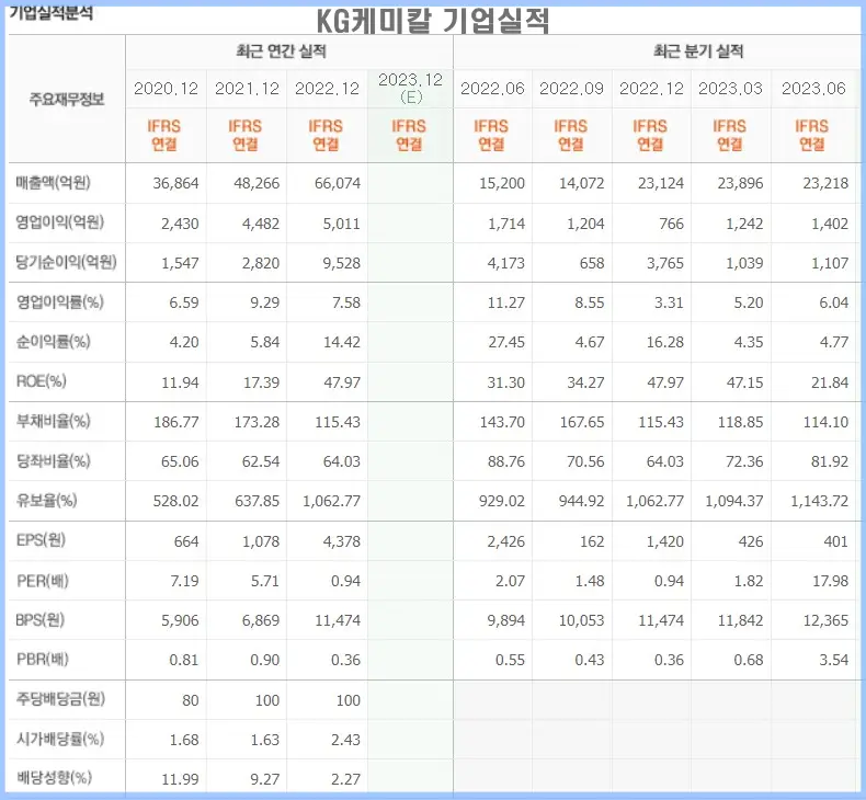 요소수 관련주 (KG케미칼)