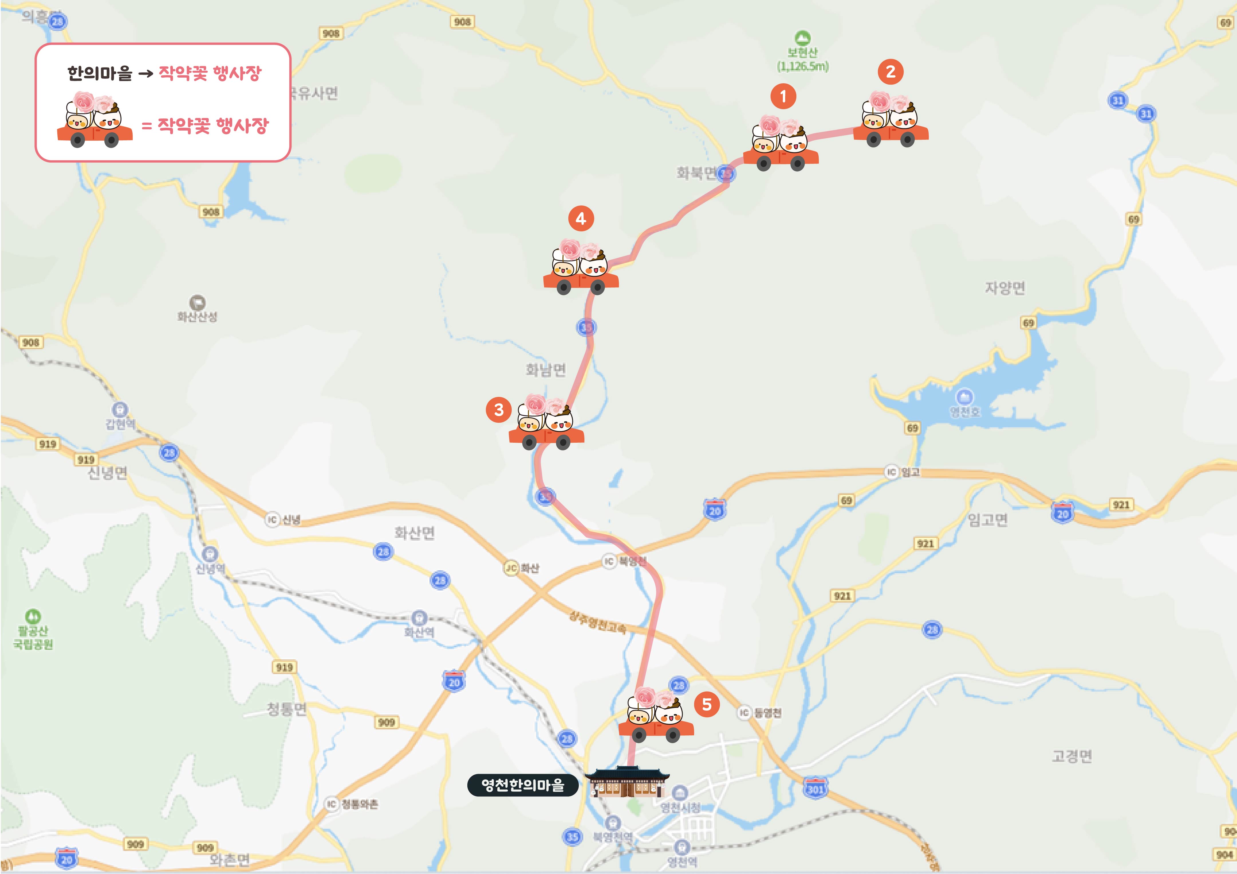 영천 작약꽃축제 가는길