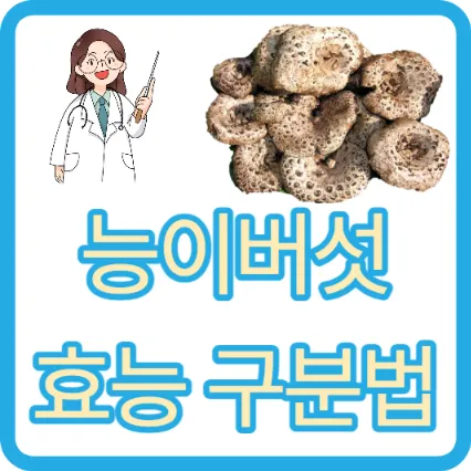 능이버섯 효능 진짜 가짜 구분법