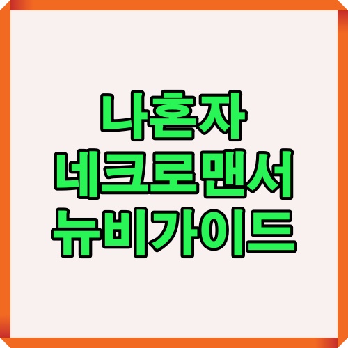 나혼자 네크로맨서 초보 가이드 대표 타이틀 이미지