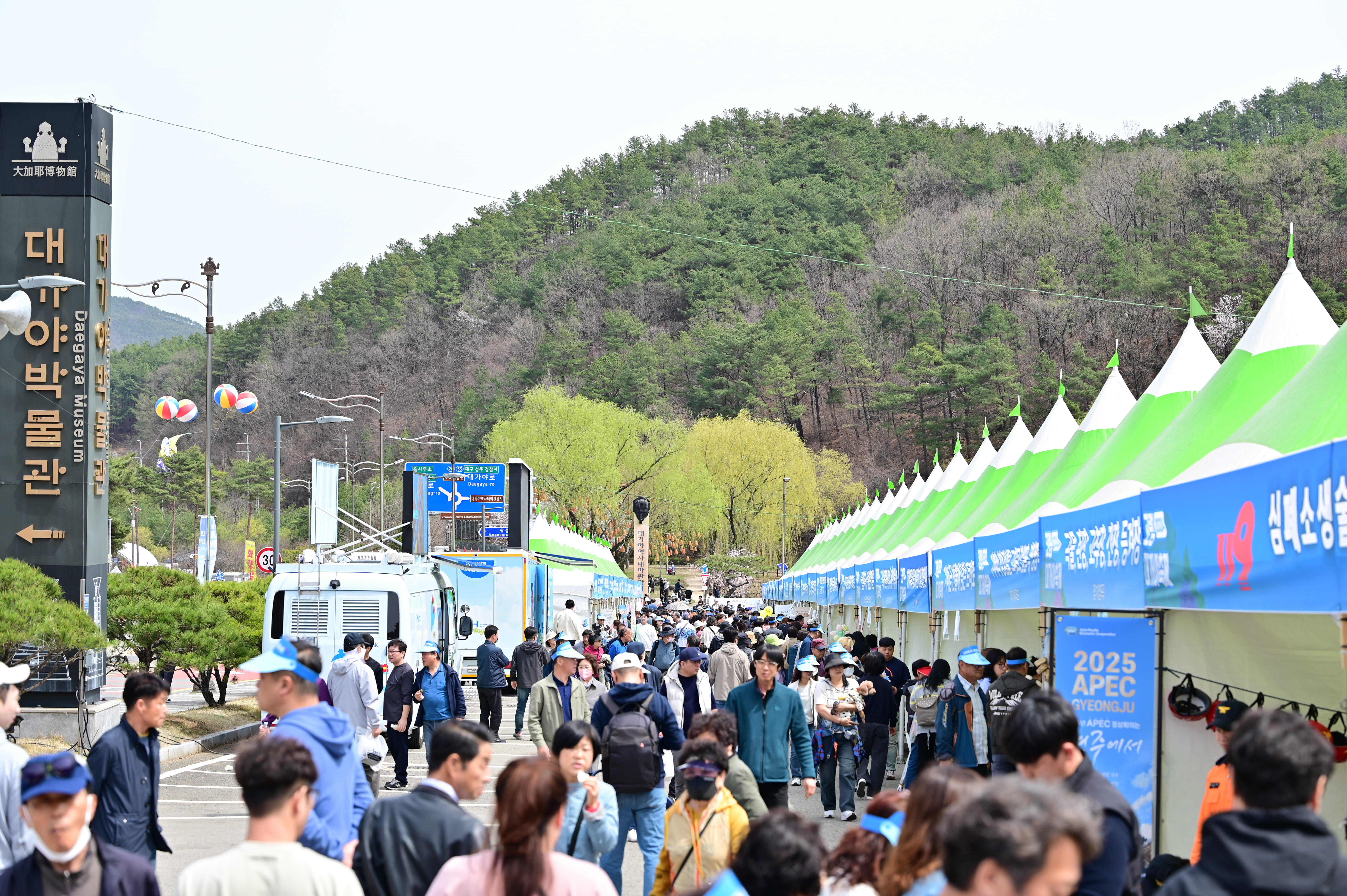 고령대가야축제 총정리 2026 일정 프로그램
