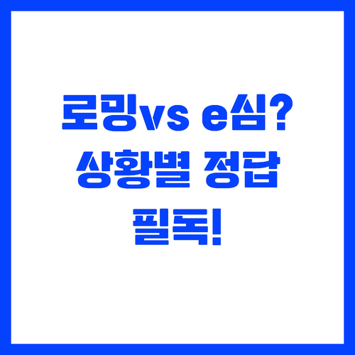 나에게 맞는 해외 데이터 로밍과 eS..