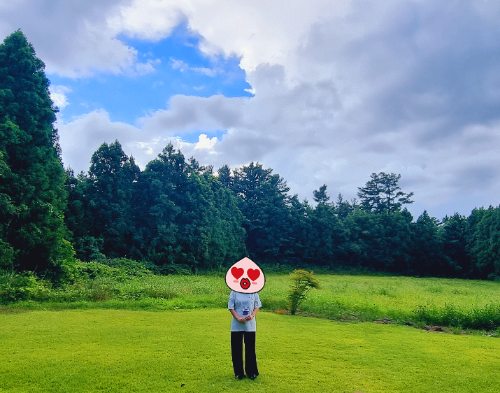 제주도 소길별하 외부 마당