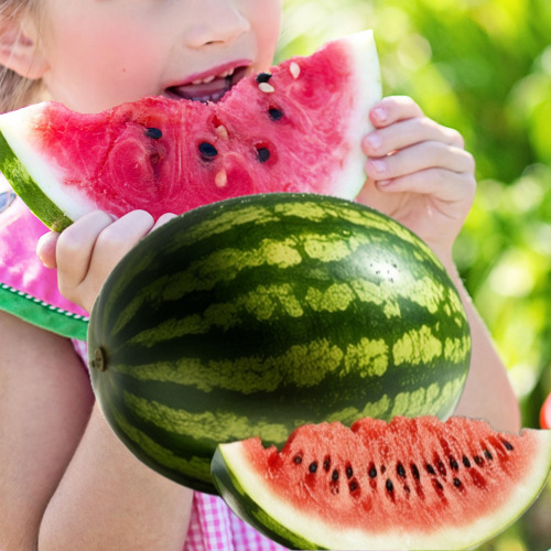 수박씨의 놀라운 효능|수박씨 과육과 같이 먹어야 하는 이유