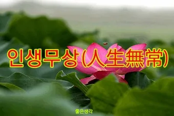 사자성어 인생무상 새옹지마 뜻 자료집_13