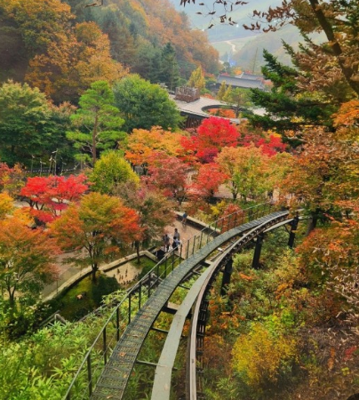 2024화담숲 가을단풍축제