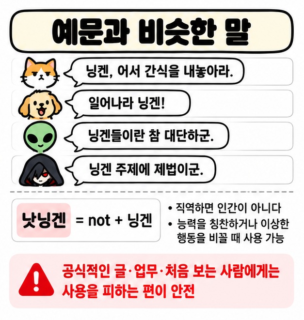 닝겐 예문과 낫닝겐 뜻 그리고 공식적인 자리에서는 사용을 피해야 한다는 주의점을 보여주는 카드
