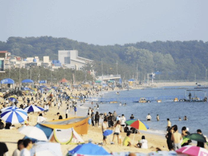 해수욕장 개장일정