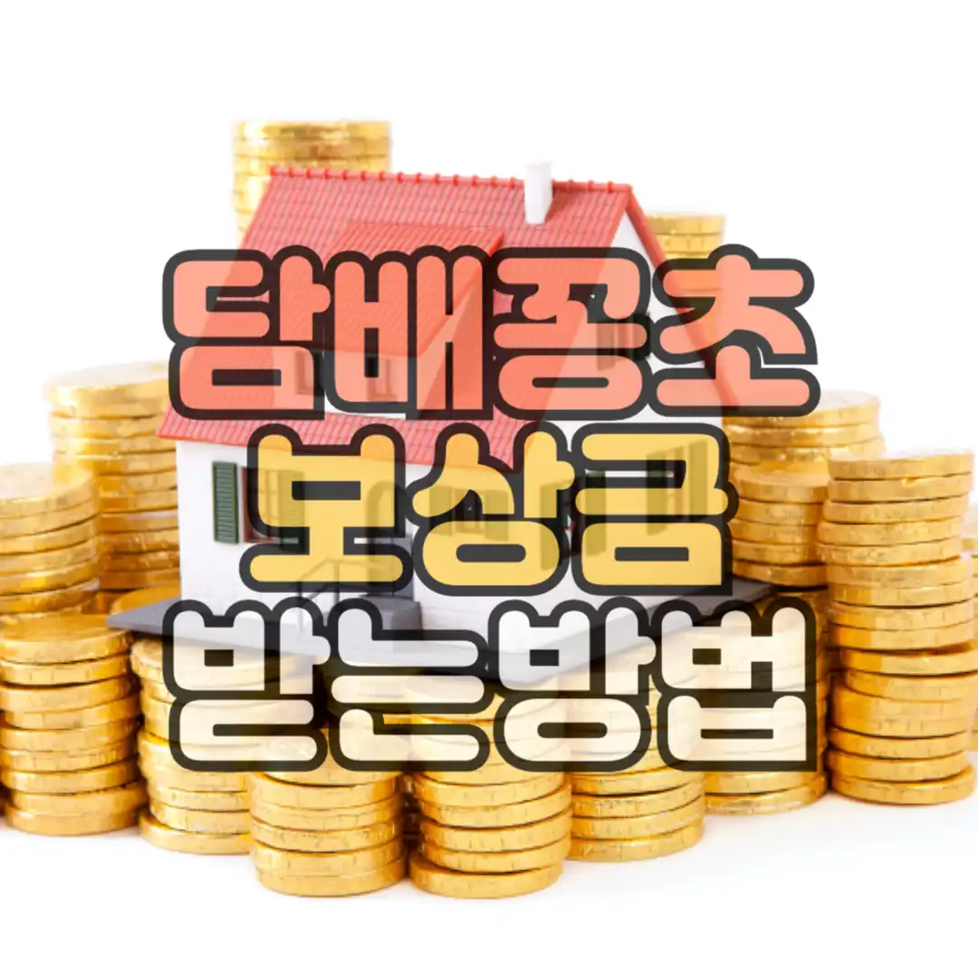 담배꽁초 보상금