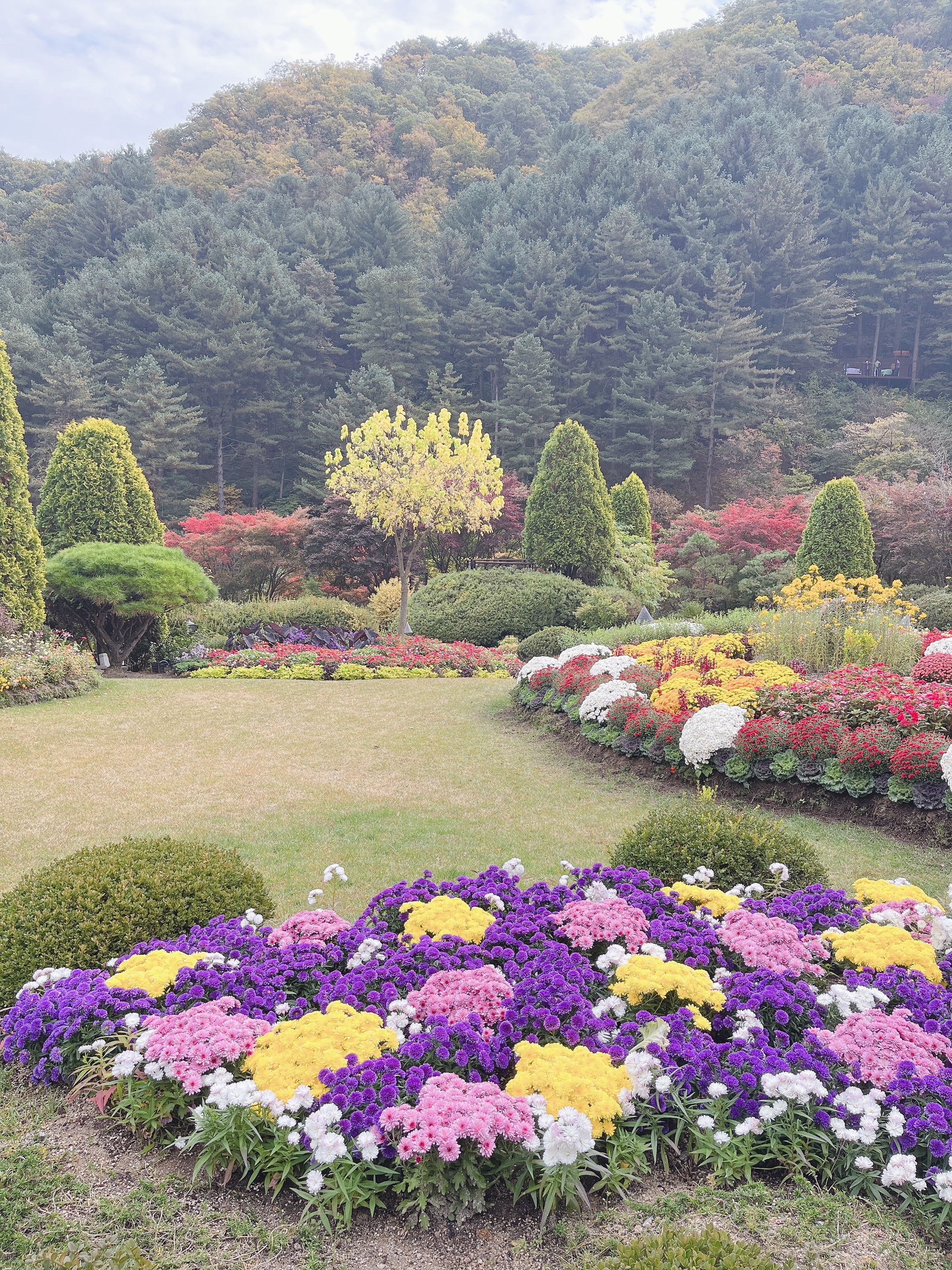 가평-아침-고요-수목원-꽃