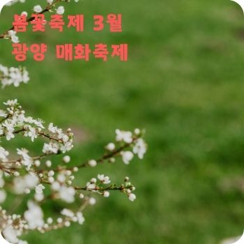 봄꽃축제 3월 광양 매화축제 구례 산수유꽃축제