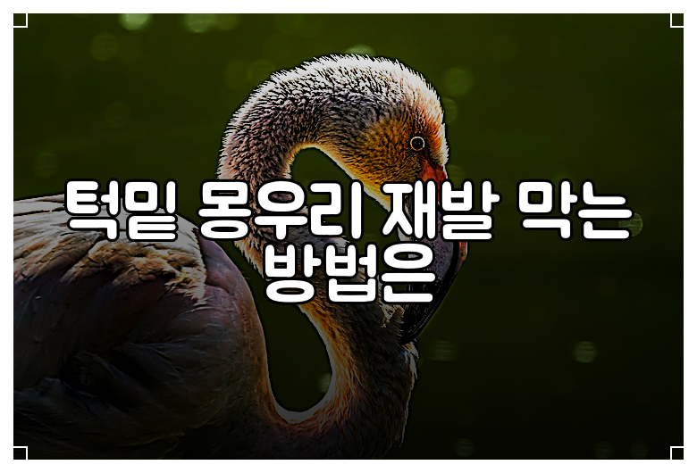 턱밑 몽우리 재발 막는 방법은