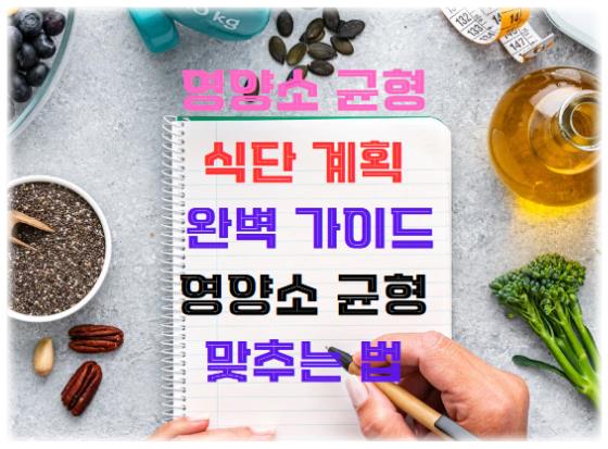 식단 계획 완벽 가이드: 영양소 균형 맞추는 법