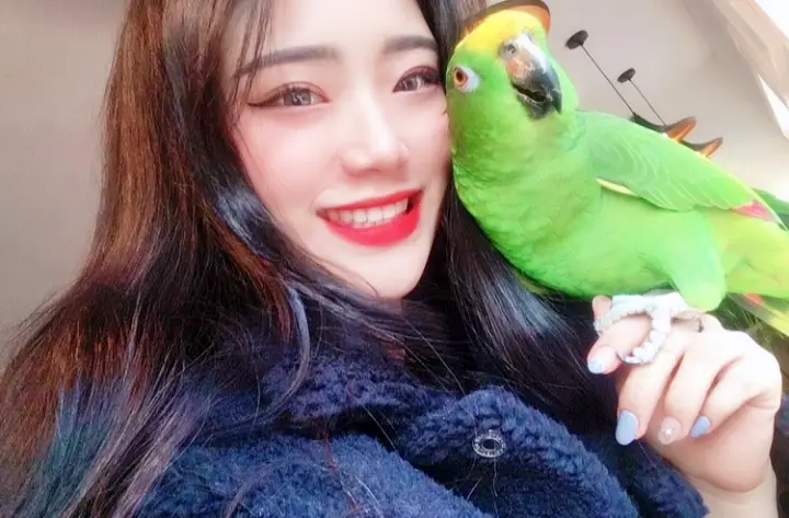 생방송오늘저녁 양평 용문산 카페 추천 자유 비행 앵무새 카페