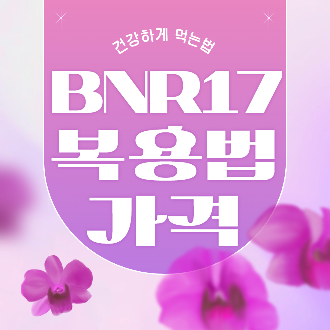 BNR 17 유산균 가격비교와 복용법