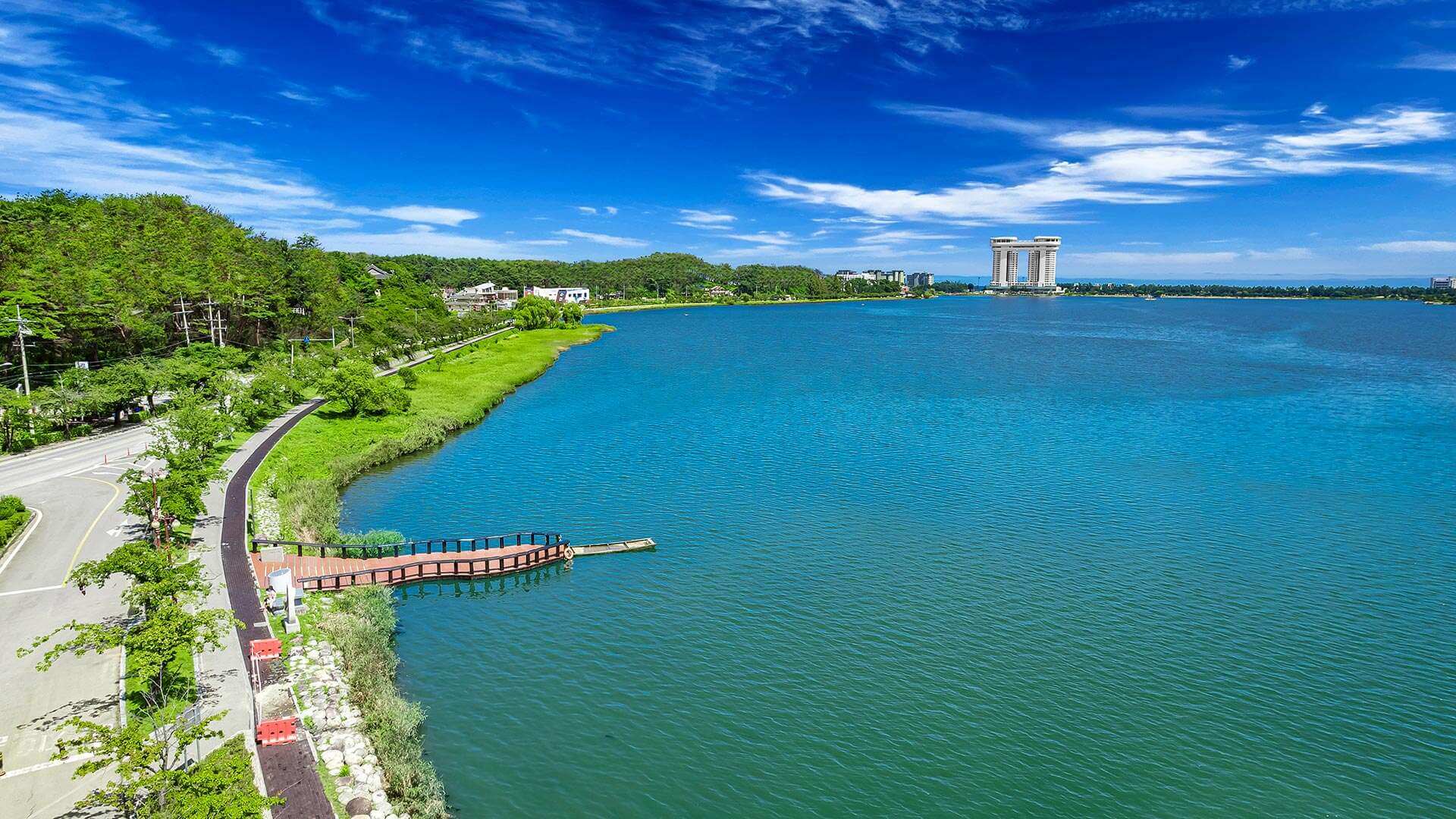 강릉 사근진 해변 유채꽃밭