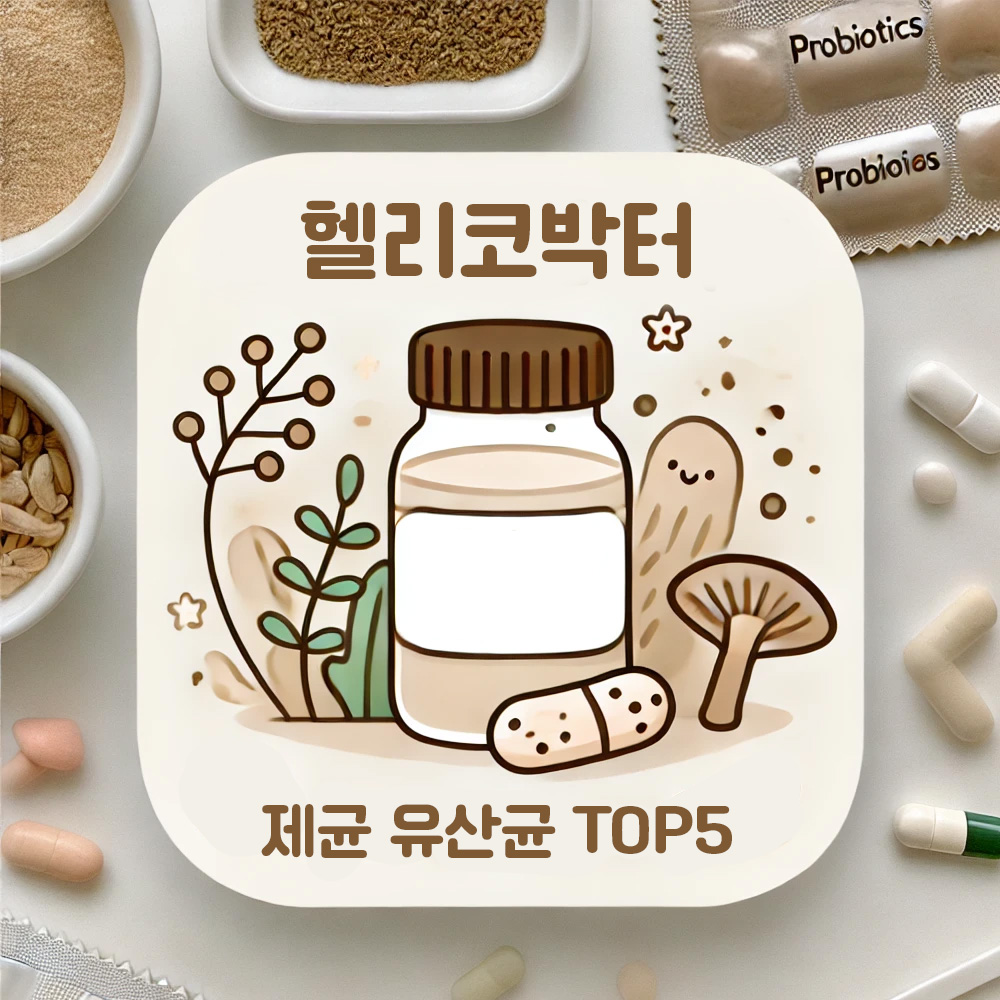 헬리코박터 제균, 유산균으로도 가능할까? 효과 입증된 추천 TOP5