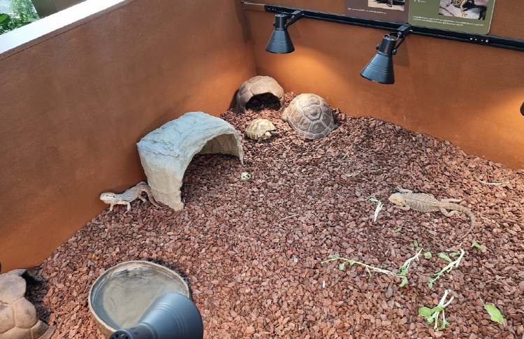 부천호수식물원 수피아