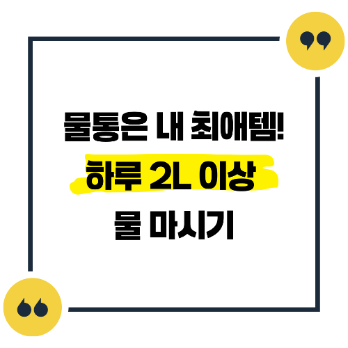 다이어트 식단
