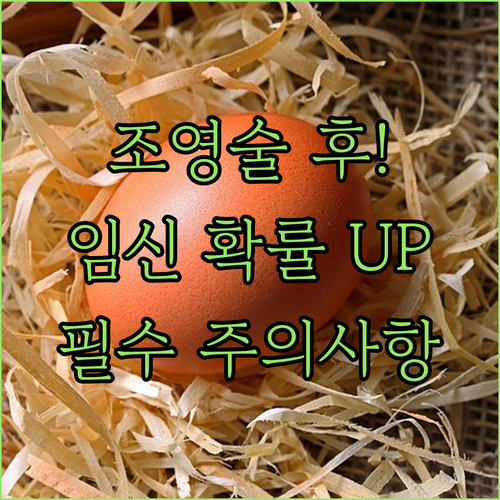 나팔관 조영술 후 임신 확률 높아지는..