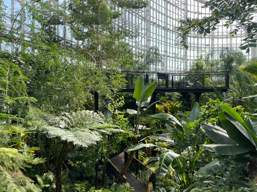 국립 세종수목원 사계절 전시온실 열대식물전시원