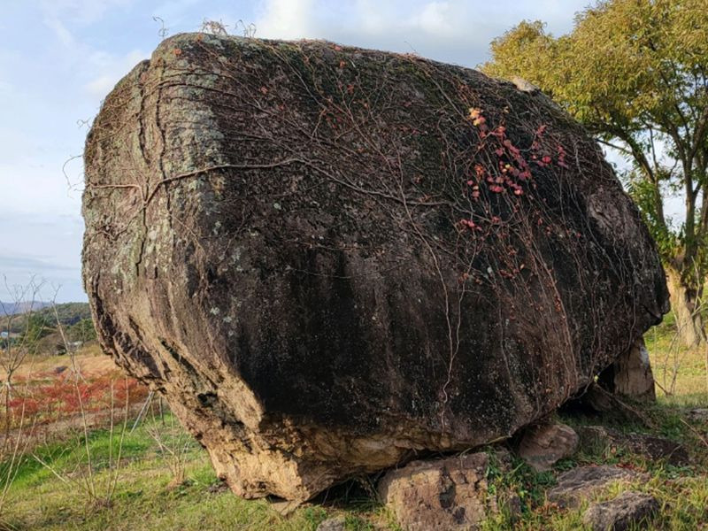 화순 고인돌 유적