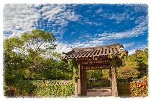 안면도자연휴양림