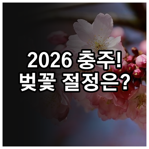 2026년 충주 지역 벚꽃 개화 시기..