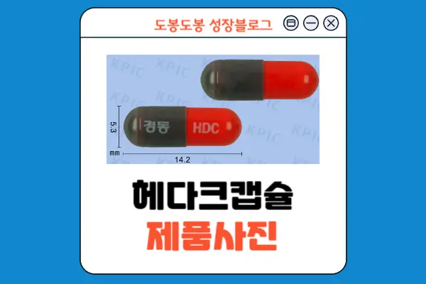 헤다크캡슐 성상 정보 이미지