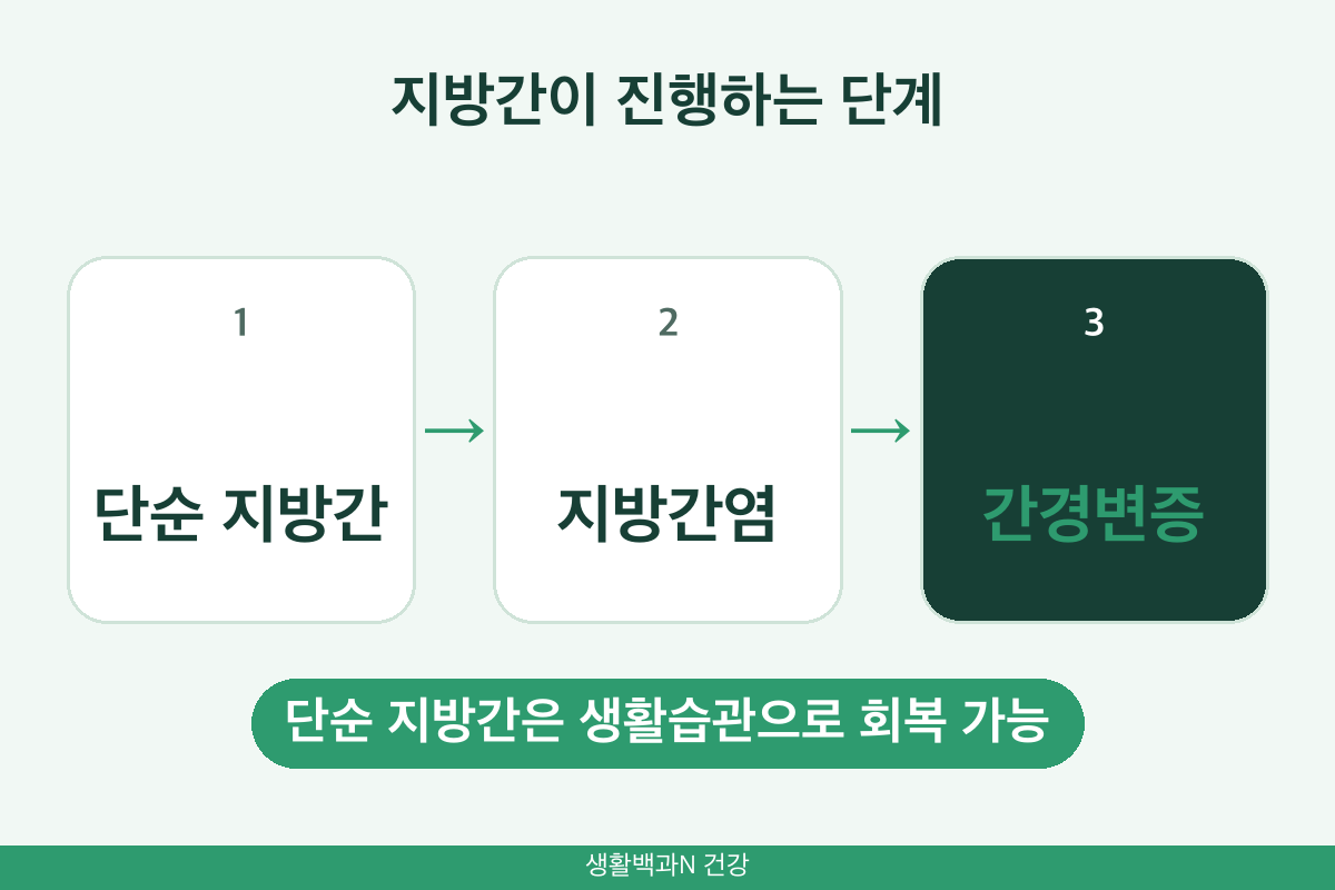 지방간 증상 없는 단계 단순 지방간 지방간염 간경변증 진행