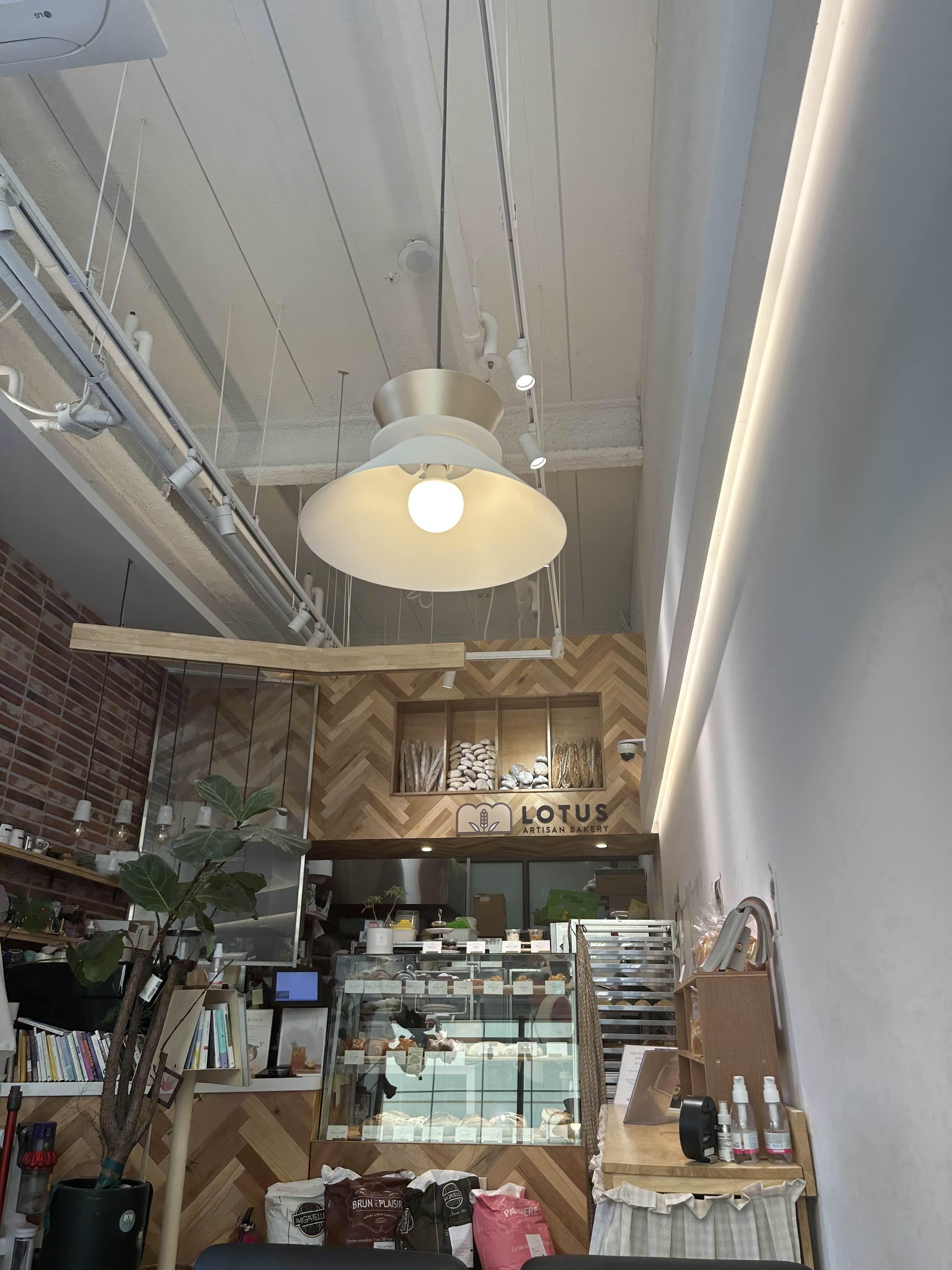 대구 율하동 브런치 빵집 로터스 베이커리 방문후기 - undefined - 모든 영역 대구 율하동 브런치 빵집 로터스 베이커리 방문후기 - undefined - 모든 영역