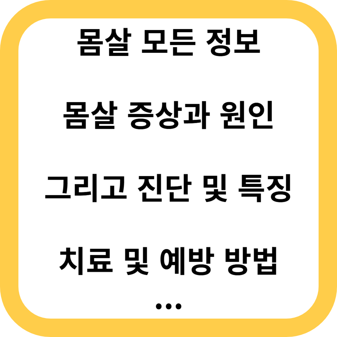 몸살