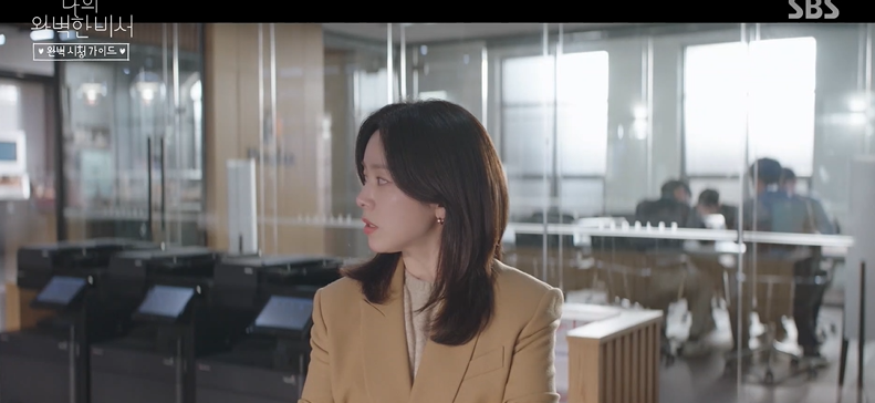 나의 완벽한 비서 정보