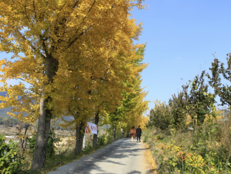 가을 억새, 단풍 산행지 추천