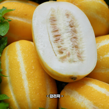 참외껍질 음식물쓰레기 인가요