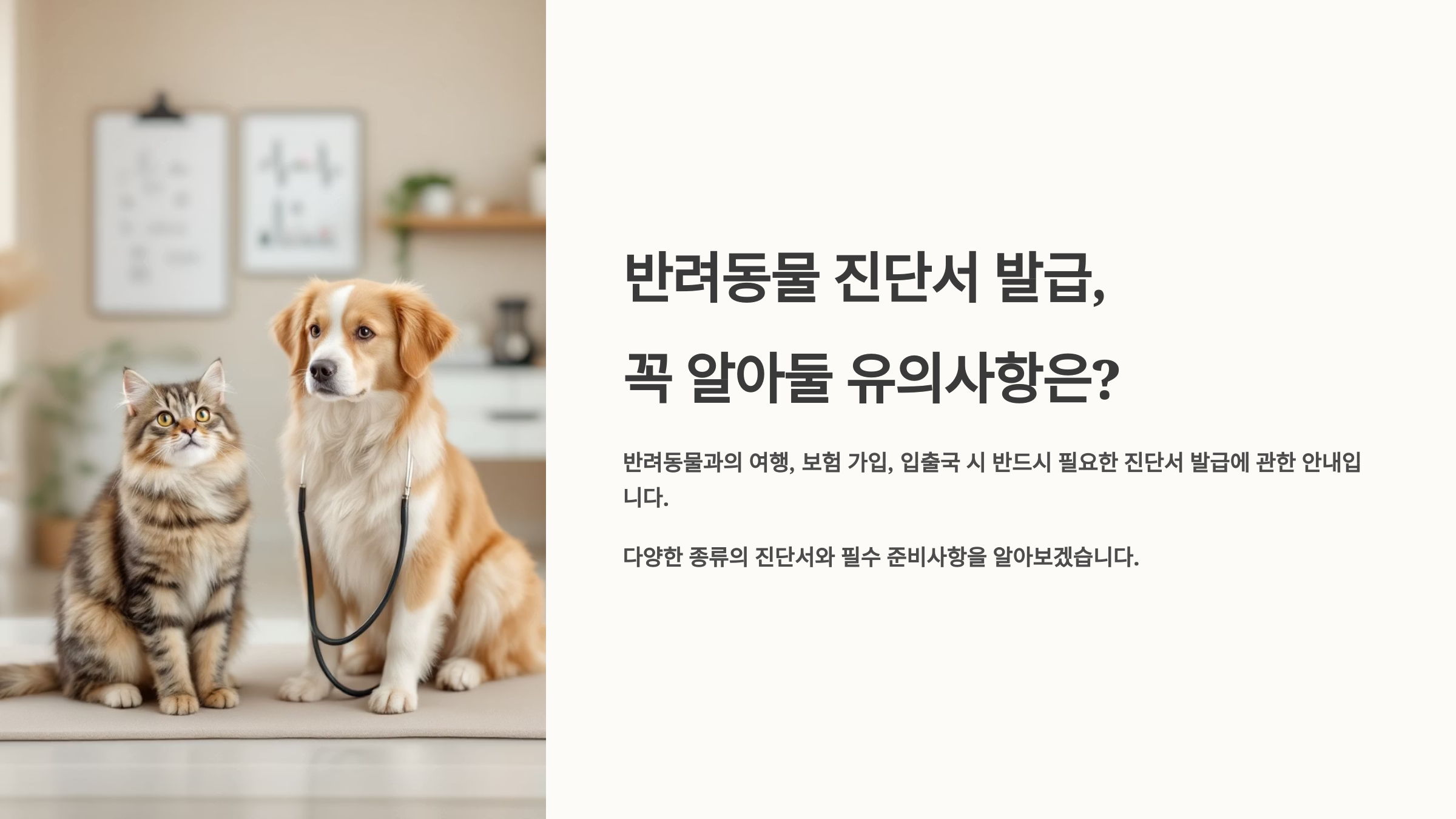 반려동물 진단서 발급, 꼭 알아둘 유의사항은?