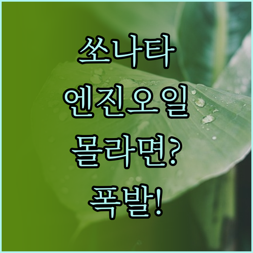 내 쏘나타에 맞는 엔진오일 고르는 법..