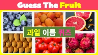 과일 이름 초성 퀴즈 모든 과일이름 총정리 자료집_5