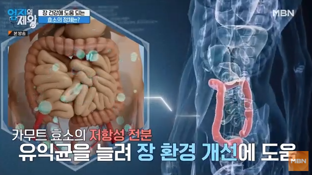 카무트, 카무트 효소