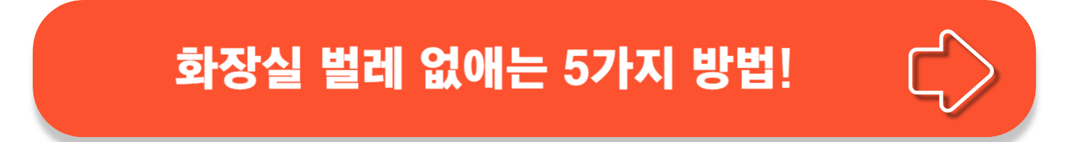 나방파리 완전박멸 꿀팁!