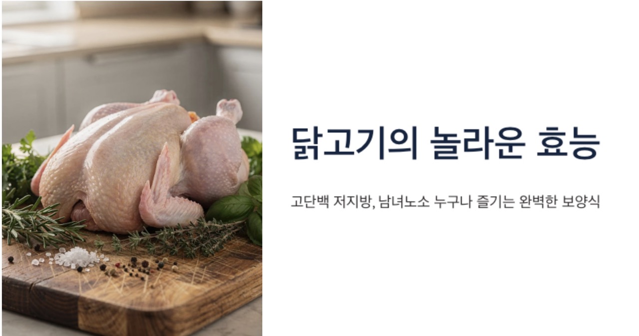 닭고기 효능 대표이미지